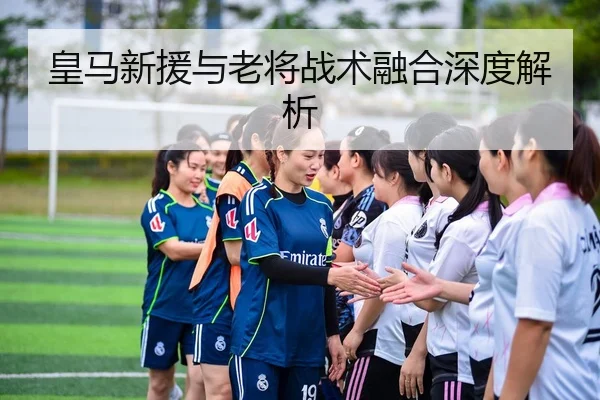 皇马新援与老将战术融合深度解析